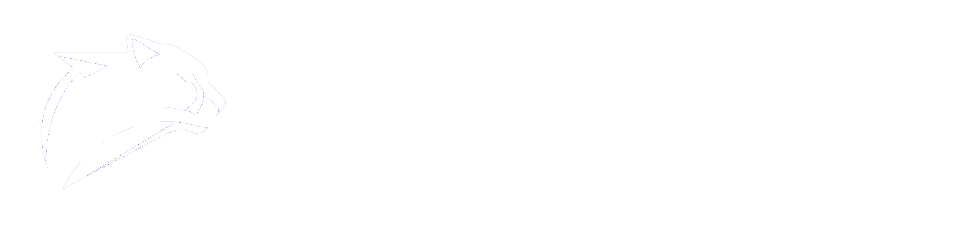 Megaboost Digital Services